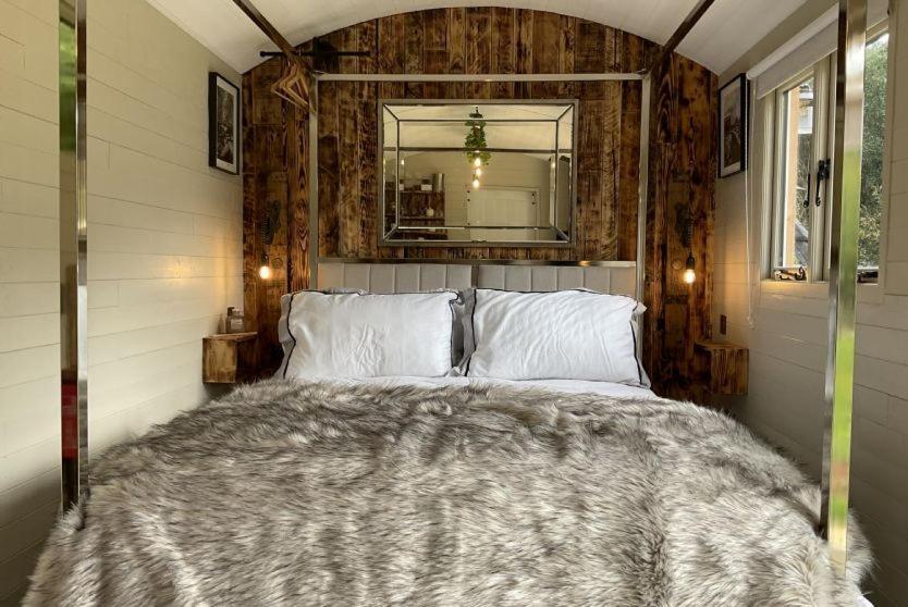 فندق Gillan Creek Retreat هيلستون المظهر الخارجي الصورة