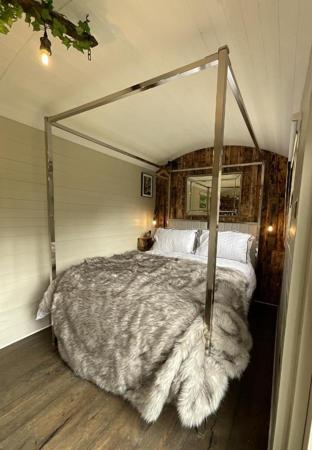 فندق Gillan Creek Retreat هيلستون المظهر الخارجي الصورة